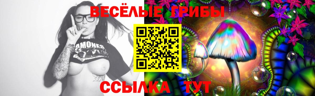 Галлюциногенные грибы Psilocybine cubensis  Вход с VPN  Югорск 