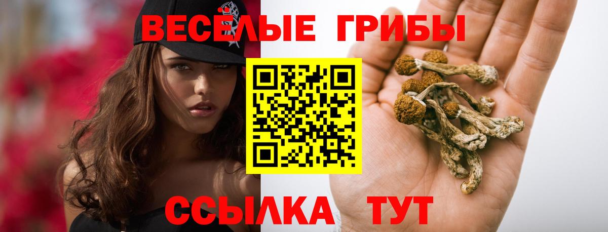 Галлюциногенные грибы Psilocybine cubensis Югорск